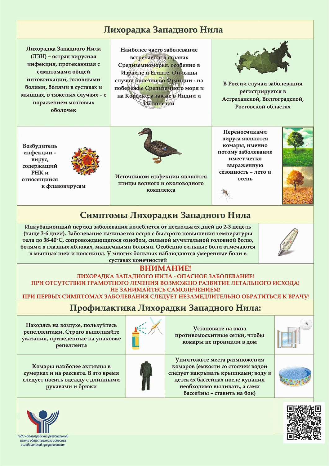 Внимание! Лихорадка Западного Нила!