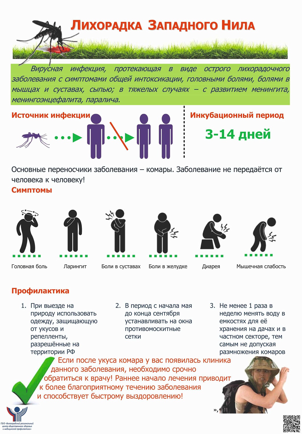 Внимание! Лихорадка Западного Нила!