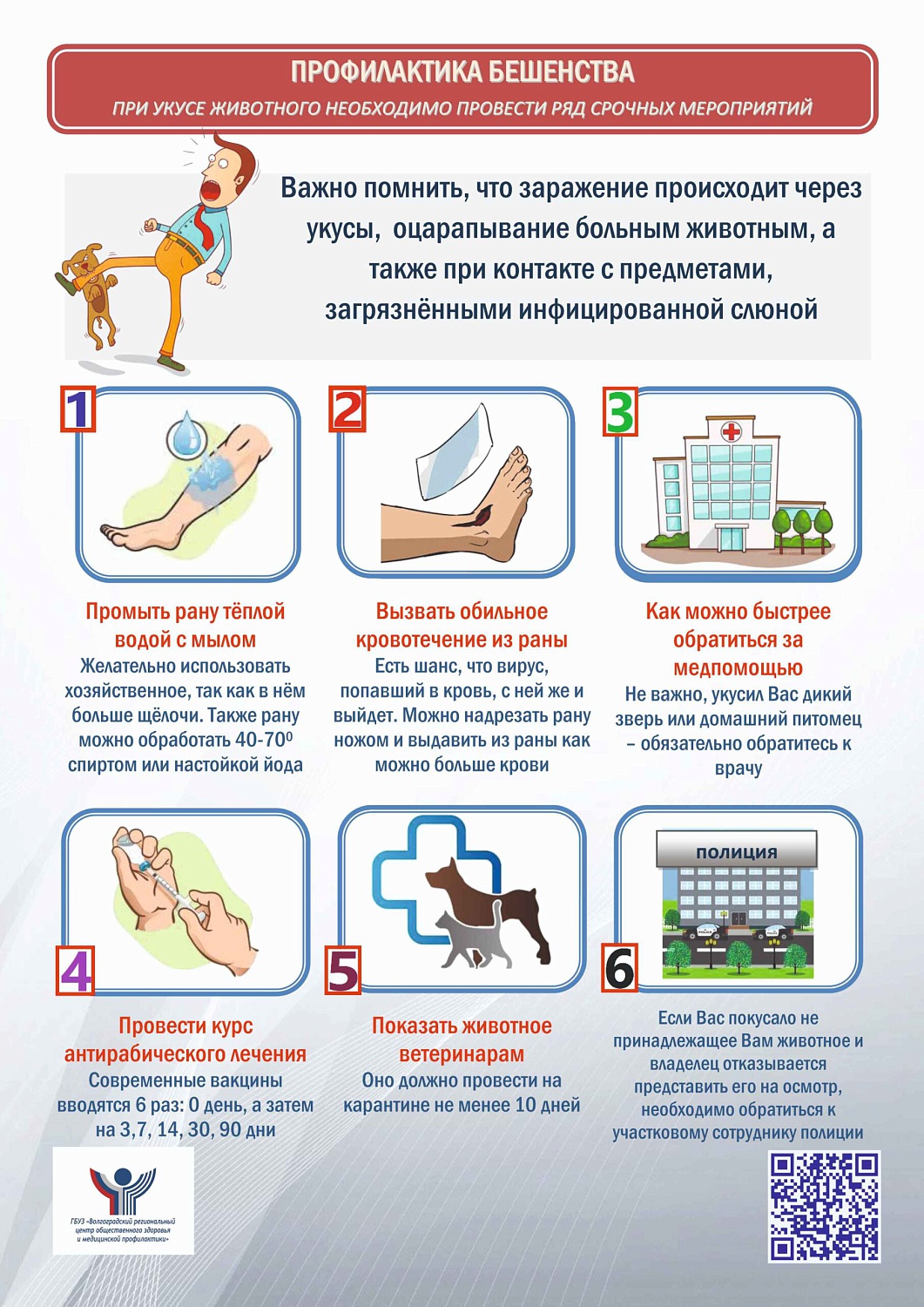 Профилактика бешенства